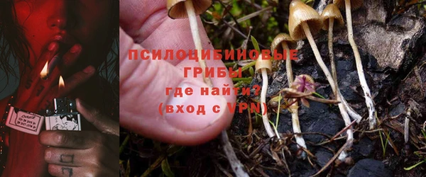 дживик Алексеевка