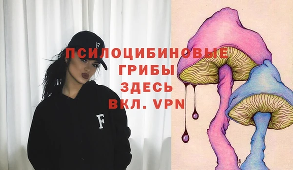 СК Алзамай