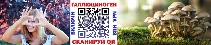 Галлюциногенные грибы Psilocybe  Щёлкино 